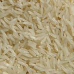 grade one white rice kg 50
